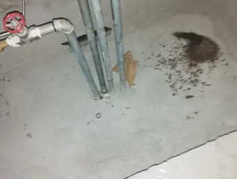 巴林左卫生间测漏水价格明细