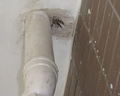 巴林左漏水检测哪家好